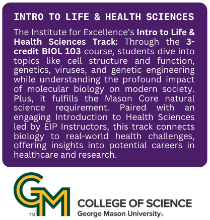 IFE Health 2025